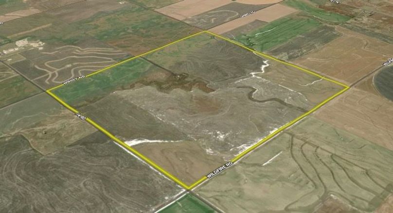 Screen Shot 2022-08-10 at 4.31.03 PM