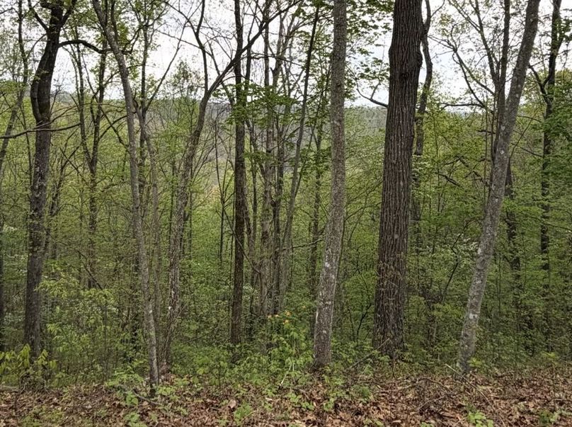 024 Overlooking the Valley from the Ridge