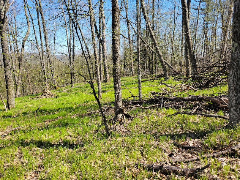 Copy of photo_978000000