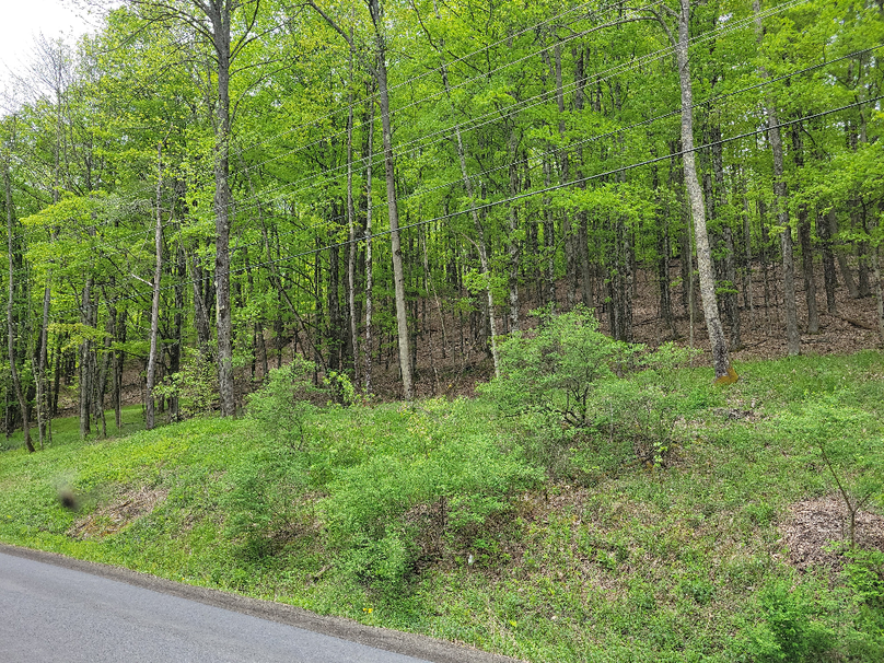 Copy of photo_468000000