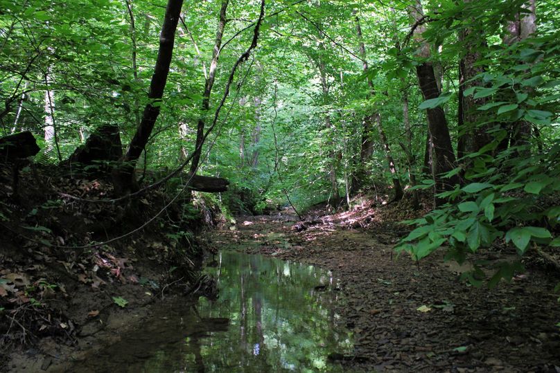 007 gorgeous waters of Muddy Gut Branch
