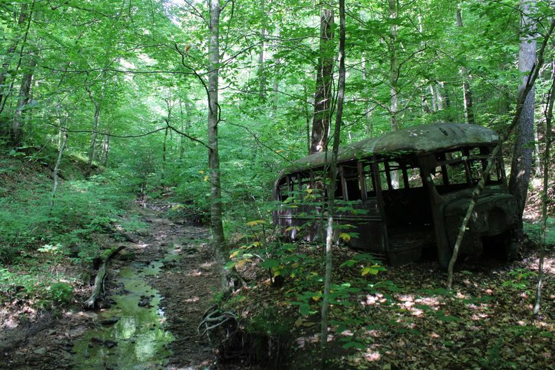 013 wonder how this got way back in the valley_ Nature has its ways