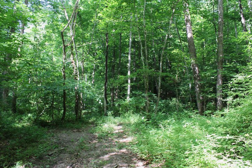 025 nice flats in the valley