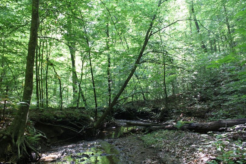 024 peacefulness in the valley