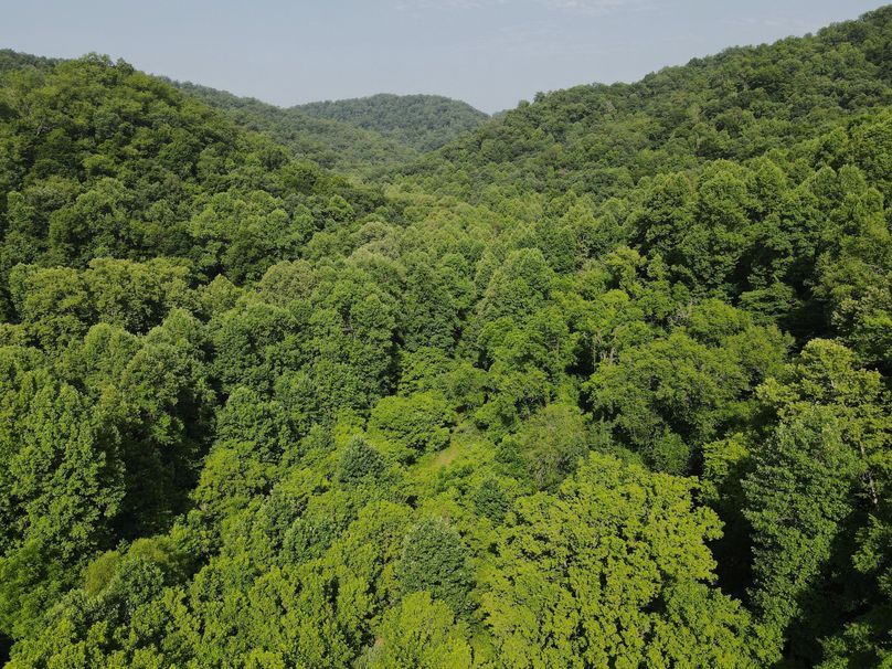 016 awesome view looking up the valley