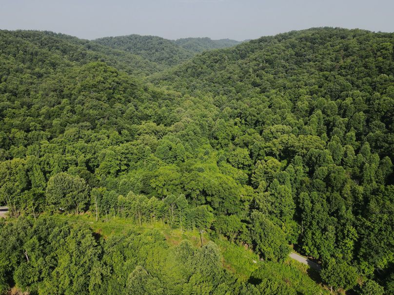 009 great elevated view looking up the valley from the entrance