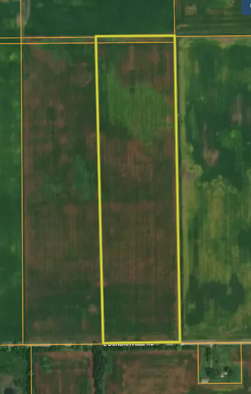 Screen Shot 2022-06-24 at 11.03.39 AM