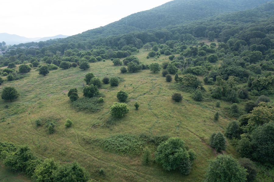 DJI_0137