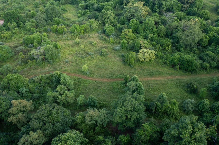 DJI_0151