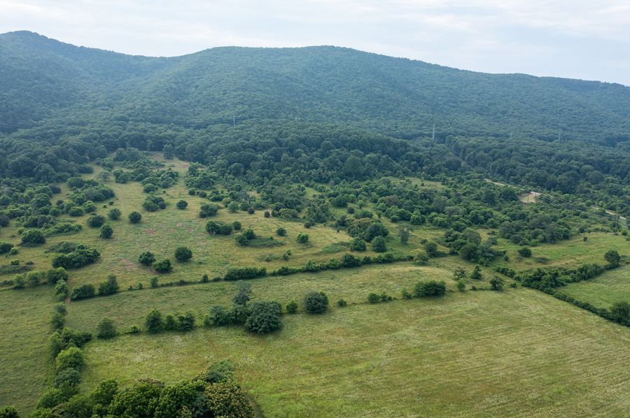 DJI_0128