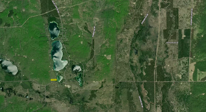 Screen Shot 2022-07-06 at 12.08.32 PM