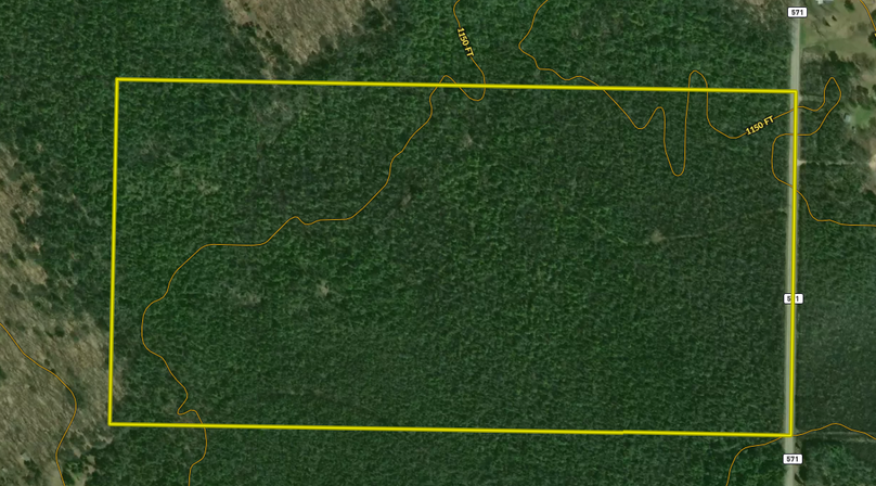 Screen Shot 2022-07-06 at 1.24.29 PM