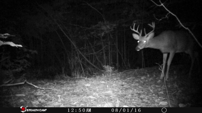 Brians phone 2017 1581