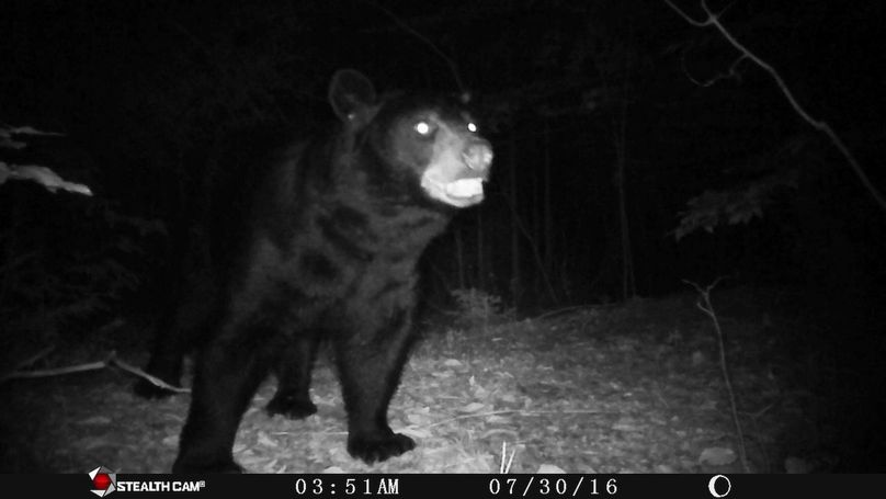 Brians phone 2017 1579