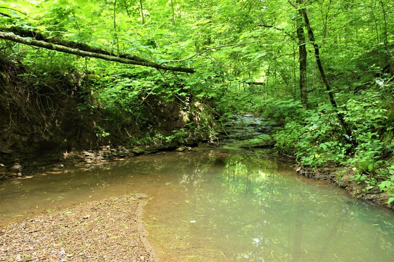 001 beautiful seasonal stream originating on and flowing through the property