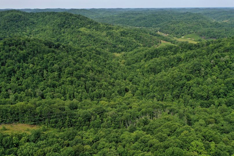 009 aerial drone shot looking down the valley from the eastern edge of the property