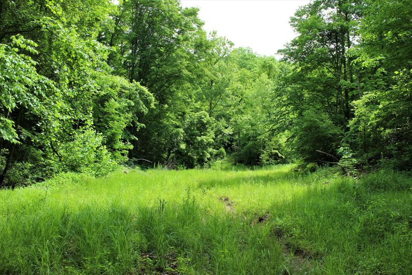 002 open field area in the middle of the property up the valley