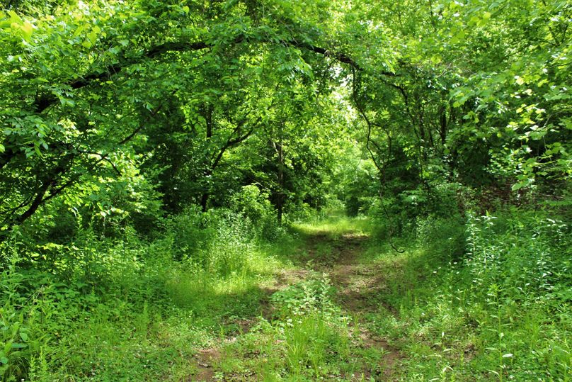 004 some of the trail system leading up the bottom of the valley