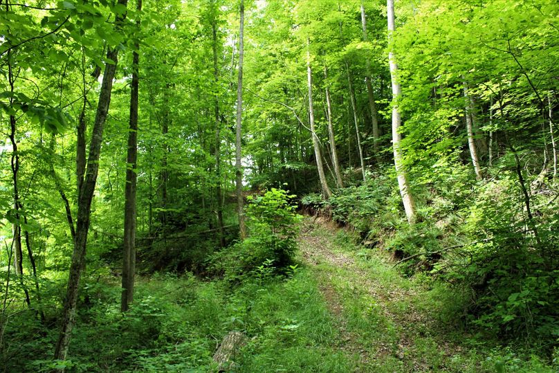 011 the trail system leading up the north facing slope out of the valley