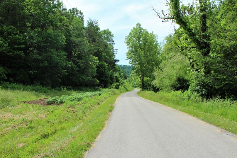 006 the county blacktop road leading along the westside of the property