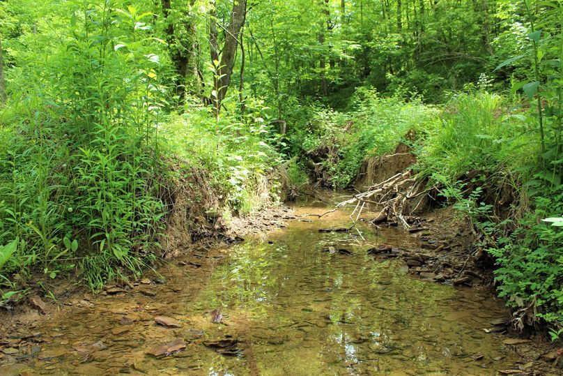 017 the intemittent stream flowing along near the west boundary