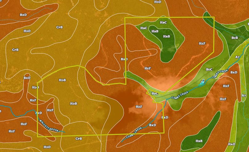 Screen Shot 2022-06-29 at 1.24.28 PM