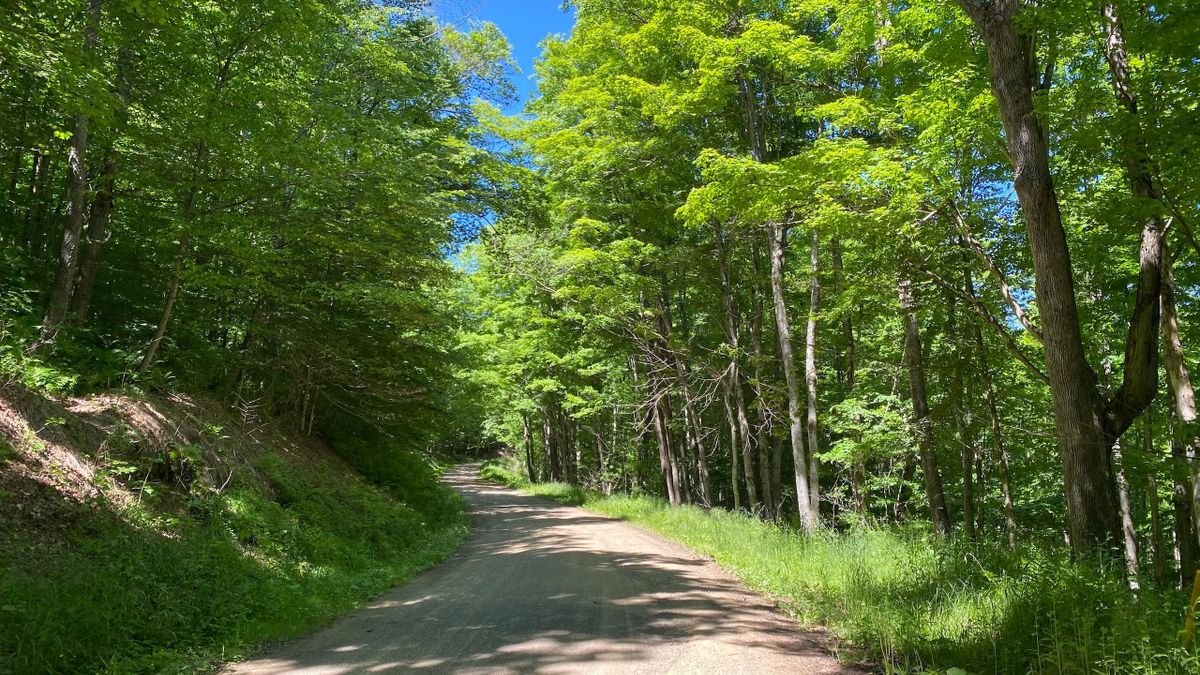 Large Timber Investment Property With Endless Recreational