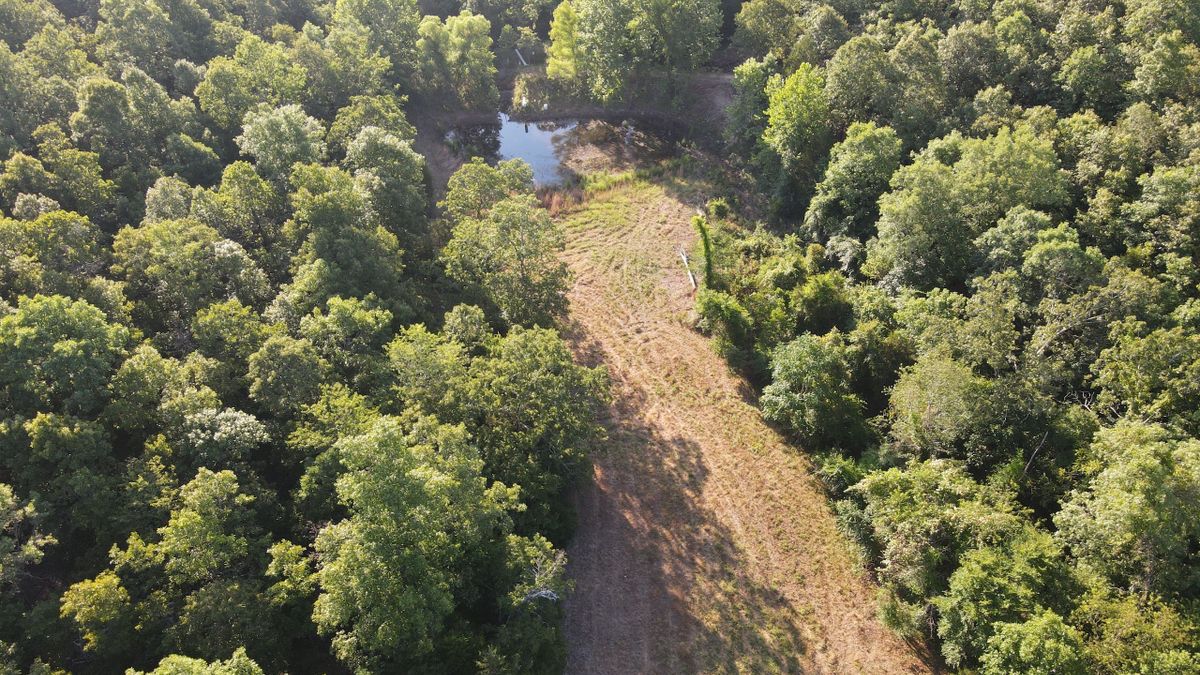 Gorgeous Wooded Oasis With Pond And Food Plots | Whitetail Properties