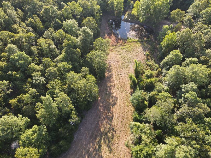 DJI_0295