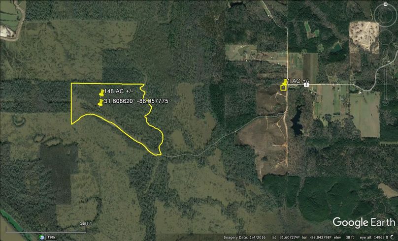 Aerial #1 Approx. 149 Acres Clarke County, AL