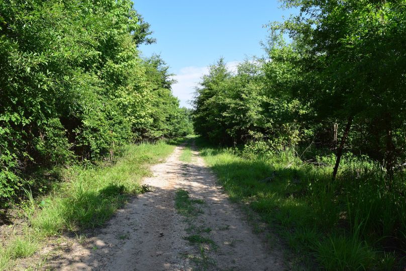 Pic 12