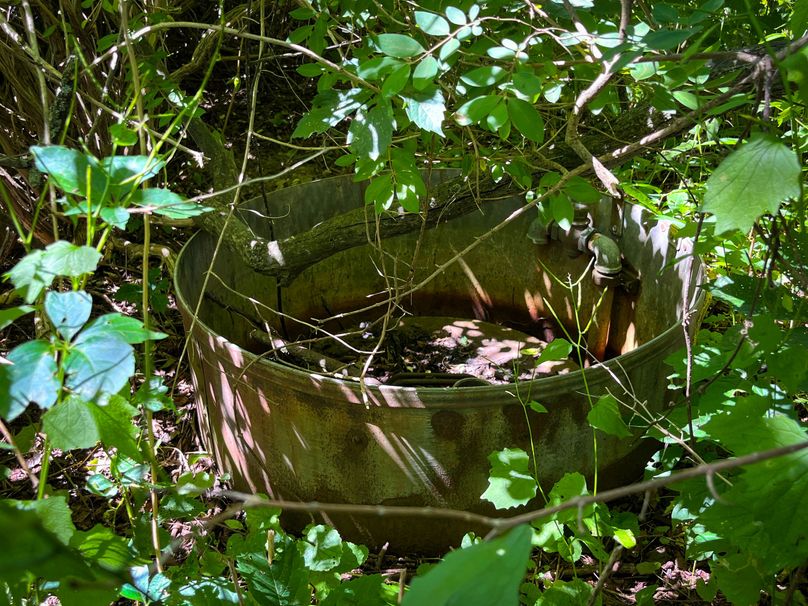 Schuyler_33.10_Ennis_Photos_19