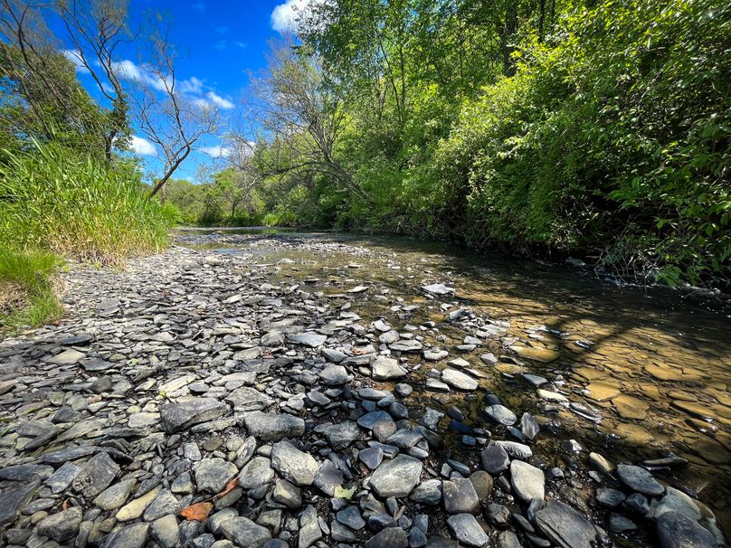 Schuyler_33.10_Ennis_Photos_26