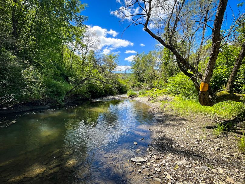 Schuyler_33.10_Ennis_Photos_7