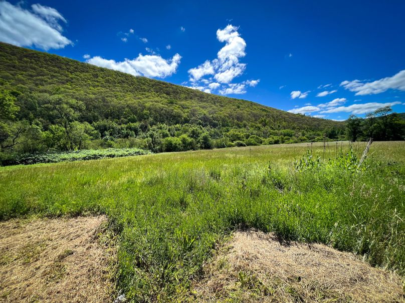 Schuyler_33.10_Ennis_Photos_9