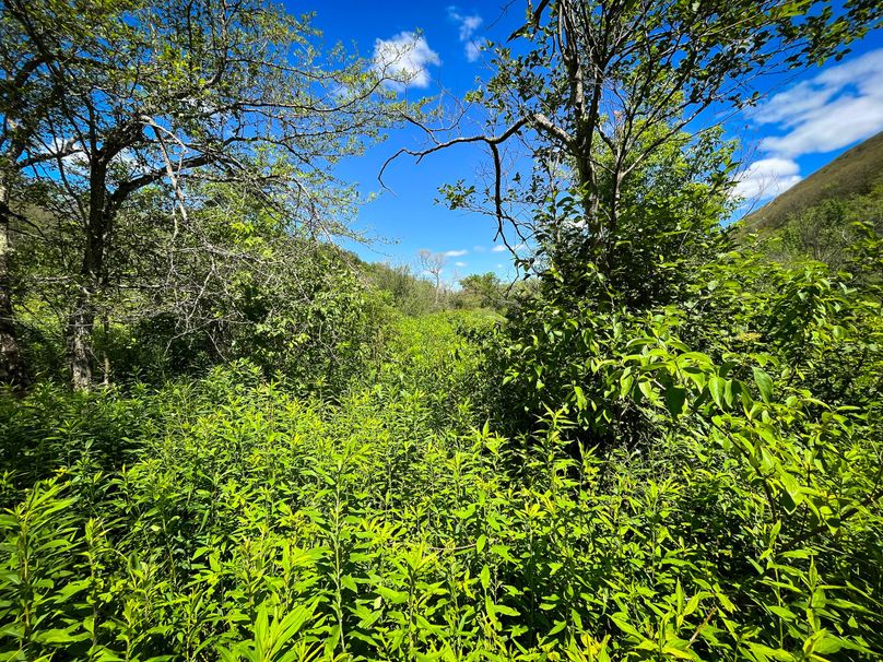 Schuyler_33.10_Ennis_Photos_27