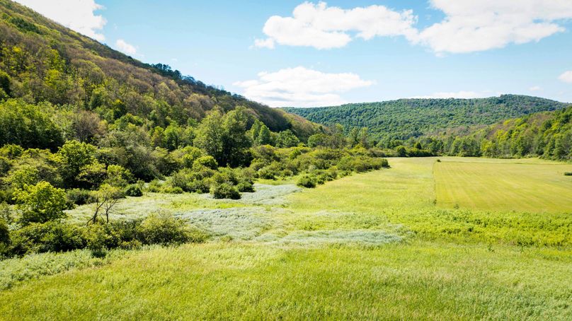 Schuyler_33.10_Ennis_Photos_37