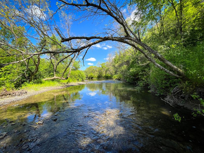 Schuyler_33.10_Ennis_Photos_5