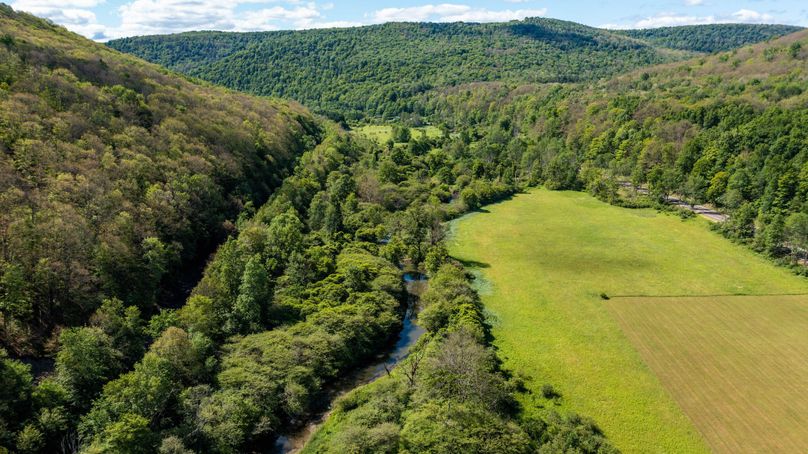 Schuyler_33.10_Ennis_Photos_2