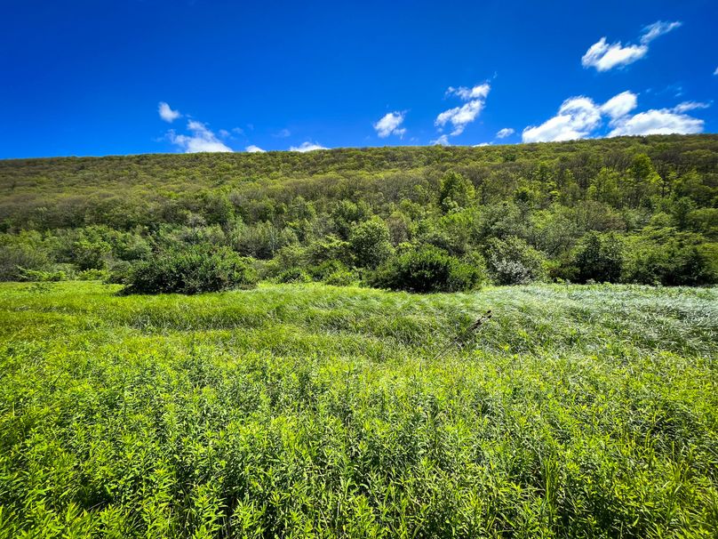 Schuyler_33.10_Ennis_Photos_33