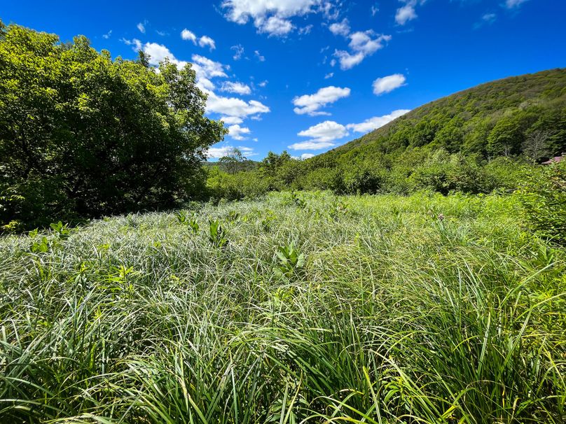 Schuyler_33.10_Ennis_Photos_40