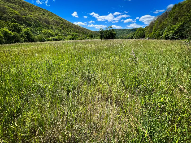 Schuyler_33.10_Ennis_Photos_17