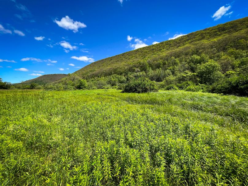 Schuyler_33.10_Ennis_Photos_39