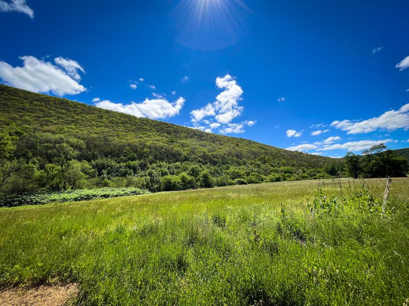 Schuyler_33.10_Ennis_Photos_10