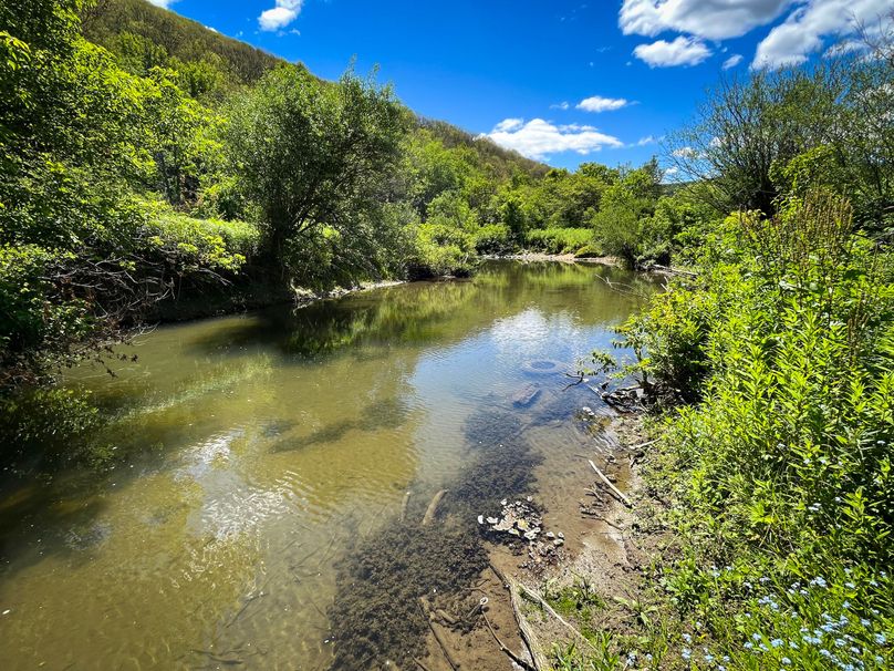 Schuyler_33.10_Ennis_Photos_21