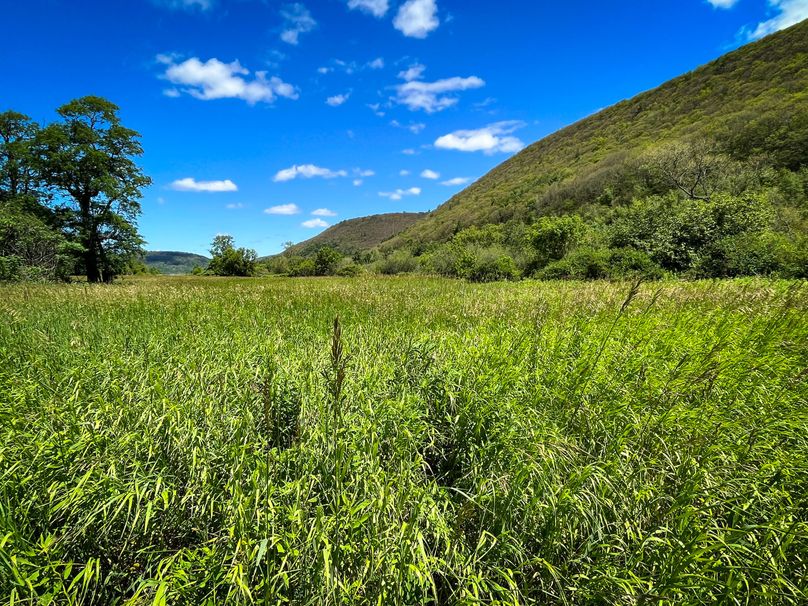 Schuyler_33.10_Ennis_Photos_32