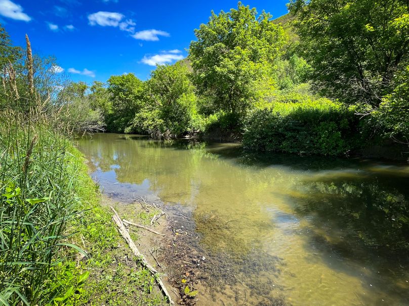 Schuyler_33.10_Ennis_Photos_22