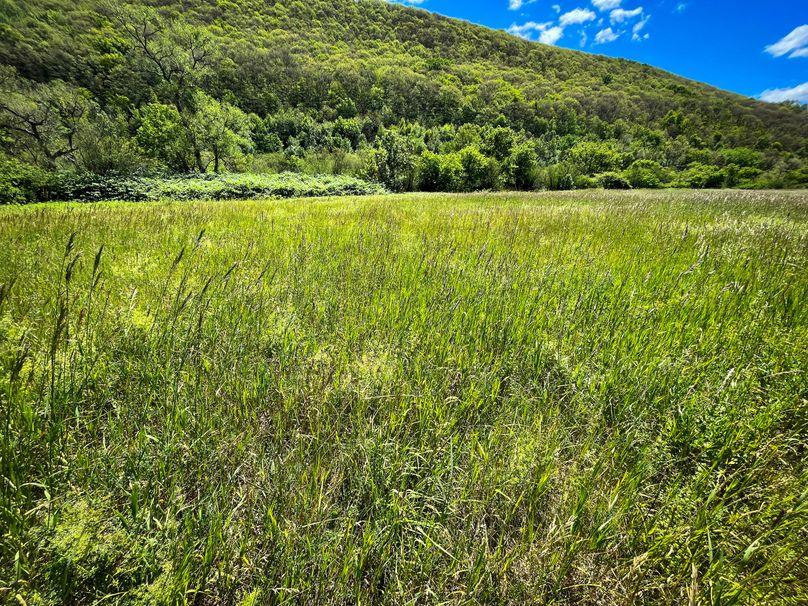 Schuyler_33.10_Ennis_Photos_18