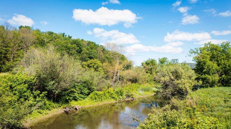 Schuyler_33.10_Ennis_Photos_42