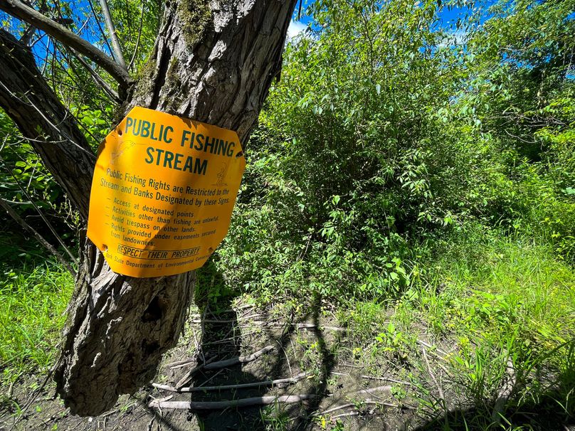 Schuyler_33.10_Ennis_Photos_6